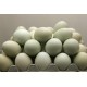 Huevos de Gallina